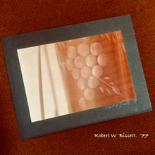 Load image into Gallery viewer, 1977 PHOTO.  ROBERT BISSETT HARRISBURG PHOTOGRAPHER