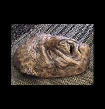 Load image into Gallery viewer, R.POLLOK CLAY SCULPTURE FACE HANDMADE IN PA.