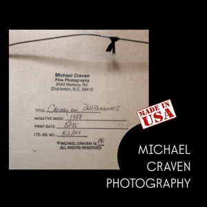 MICHAEL CRAVEN FINE PHOTOGRAPHY 1988  “CHERRY ON BALLBEARINGS” 82/100