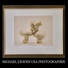 Load image into Gallery viewer, MICHAEL CRAVEN FINE PHOTOGRAPHY “NIGHT CAPS” (mushrooms) 56/250
