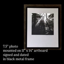 Load image into Gallery viewer, 1976 PHOTO ROBERT BISSETT PHOTOGRAPHER, Harrisburg PA.
