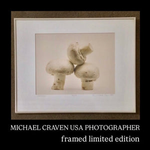MICHAEL CRAVEN FINE PHOTOGRAPHY “NIGHT CAPS” (mushrooms) 56/250