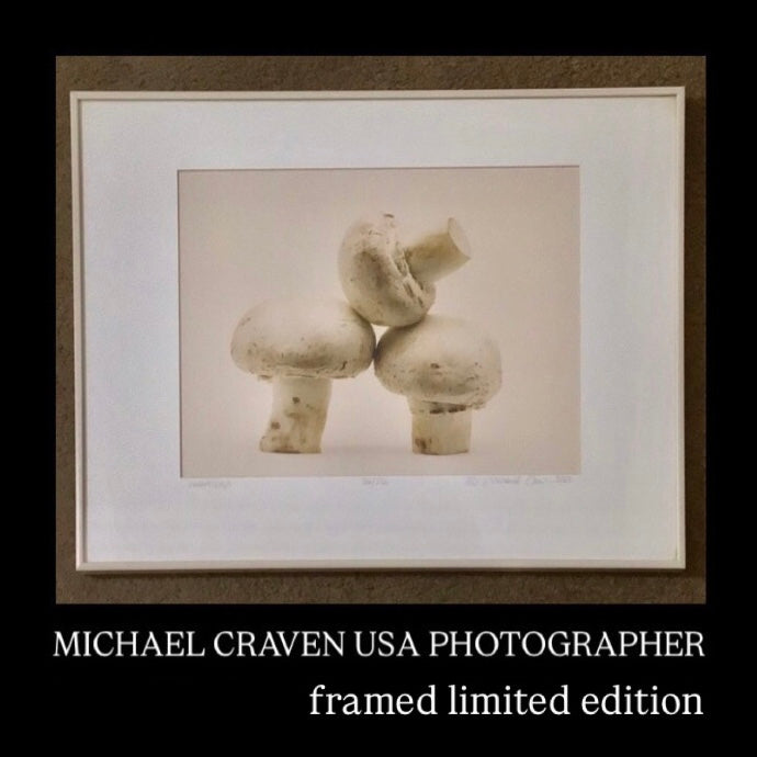 MICHAEL CRAVEN FINE PHOTOGRAPHY “NIGHT CAPS” (mushrooms) 56/250