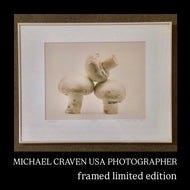 MICHAEL CRAVEN FINE PHOTOGRAPHY “NIGHT CAPS” (mushrooms) 56/250