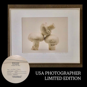 MICHAEL CRAVEN FINE PHOTOGRAPHY “NIGHT CAPS” (mushrooms) 56/250