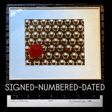 Load image into Gallery viewer, MICHAEL CRAVEN FINE PHOTOGRAPHY 1988  “CHERRY ON BALLBEARINGS” 82/100
