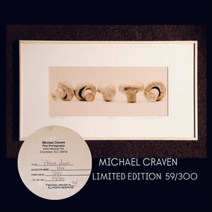 MICHAEL CRAVEN FINE PHOTOGRAPHY “PRIME LINE”  (mushroom) 59/300