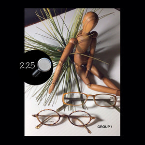 2 pair READING GLASSES  …..  2.25