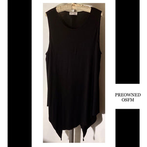 PO ~  TRANSPARENTE LONG SLEEVELESS tank/tunic