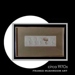 Circa 1970s framed mushroom art
