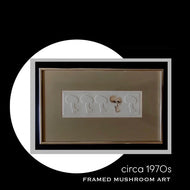 Circa 1970s framed mushroom art