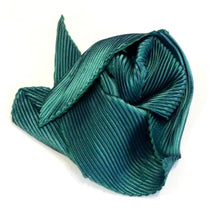 Load image into Gallery viewer, CATHAYANA PLEATED SCARF
