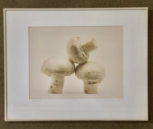 Load image into Gallery viewer, MICHAEL CRAVEN FINE PHOTOGRAPHY “NIGHT CAPS” (mushrooms) 56/250
