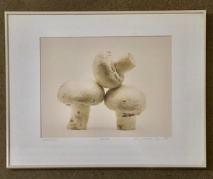 MICHAEL CRAVEN FINE PHOTOGRAPHY “NIGHT CAPS” (mushrooms) 56/250