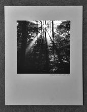 Load image into Gallery viewer, 1976 PHOTO ROBERT BISSETT PHOTOGRAPHER, Harrisburg PA.

