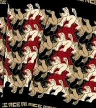 Load image into Gallery viewer, M.C. Escher  LION Scarf
