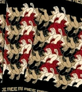 M.C. Escher  LION Scarf